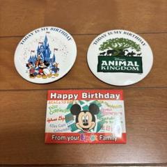 フロリダディズニーワールド ピンバッジ 新品 フロリダディズニーワールド ピンバッジ （【WDW50th