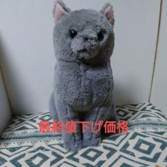 Amazon.co.jp: ほっこり猫 ごま助 ぬいぐるみ 全2種コンプリート