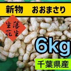 農家直送千葉生落花生訳あり品6kg特売 6kg【おおまさり】生落花生 新物 本場千葉県産(農家直送) ※箱