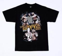 サバイバーシリーズ 2010 オフィシャル WWE プロレス