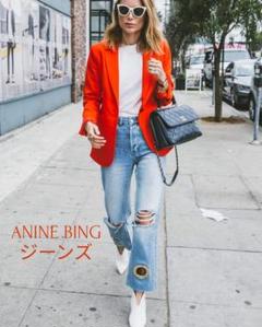 ANINE BING レアアニーンビンジーンズグロメットメタリックスタッド