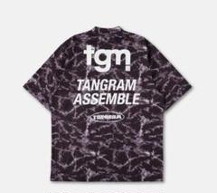 TGS-MT09-2_1_c91c5811-baa6-