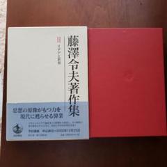 藤澤令夫著作集 第2巻 (イデアと世界)