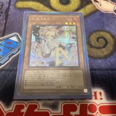 灰流うらら(プリズマティックシク)(イラスト違い) | プリズマティックシークレット | ドラゴンスター ネット買取 | 遊戯王