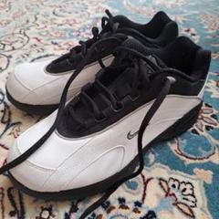 nikeゴルフシューズ