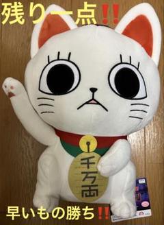 新品‼️美品‼️ダンダダン￼ターボババアおすわりBIGぬいぐるみ招き猫タグ付き‼️