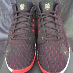JORDAN CP3.Ⅻ PF