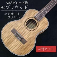 【プロ調整】Music製 ゼブラウッド・テナーウクレレ【AAAランク】