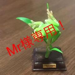 ネイチャーテクニカラー ニホンアマガエル