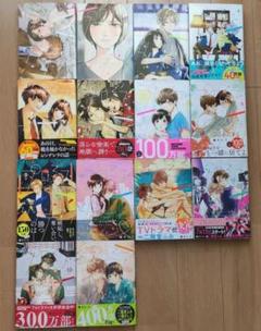 【即日発送可能、バラ売り不可】プロミスシンデレラ1~11&番外編 imgrc0119580558.jpg