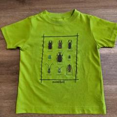 mont-bell 　昆虫　 半袖Tシャツ 100cm
