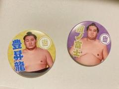 大相撲 缶バッジ 日本橋　照ノ富士　豊昇龍