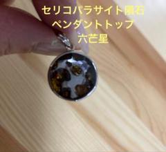 【新入荷】パラサイト隕石ペンダントトップ（新品未使用）鑑定書付き六芒星セリコ隕石 最終お値下げ❣️セリコパラサイト隕石ペンダントトップ 六芒星