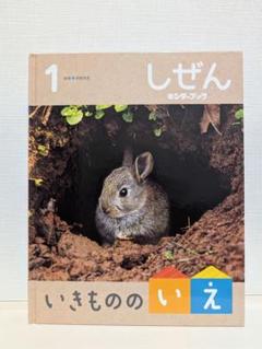 【2点購入150円引】キンダーブック しぜん がっき 『2023年11月号』 しぜん-キンダーブック - フレーベル館の月刊保育絵本