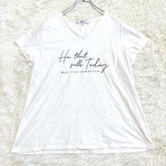 6579 インディヴィ 半袖カットソー 05 Tシャツ Ｖネック プリント 薄手