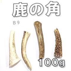 minoru鹿の角７本＋４本 楽天市場】鹿 の 角 漢方の通販