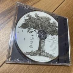 細野晴臣/ N.D.E.