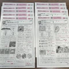 小学５年生★答えたしかめシート★国語＆算数＆社会＆理科＆英語★オマケ付き 小学5年生☆答えたしかめシート☆国語＆算数＆社会＆理科＆