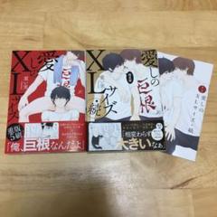 BL コミック 愛しのXLサイズ セット