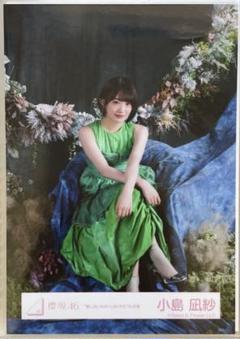 小島凪紗 東京ドー厶 ライブ会場撮りおろしプレミアム生写真 小島凪紗 東京ドー厶 ライブ会場撮りおろしプレミアム生写真