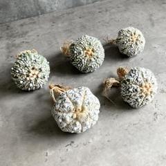 世田谷プランツマーケット の出品した商品 - メルカリ