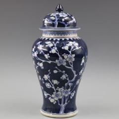 清光緒  鯖牡丹花蓋缶  景徳鎮 陶磁器 装飾品 工芸品美術品 置物 2025年最新】景徳鎮 壷の人気アイテム - メルカリ
