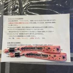 【1点物】【非売品】Hilcrhyme直筆サイン付き　音楽と髭達　限定Tシャツ 音楽と髭達2025 BOTANICAL BIG T-Shirt - 音楽と髭達 OFFICIAL