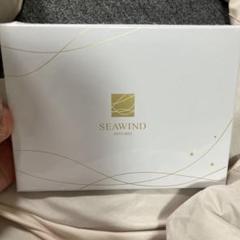 SEAWIND 枕カバー　シャンパンゴールド シルク
