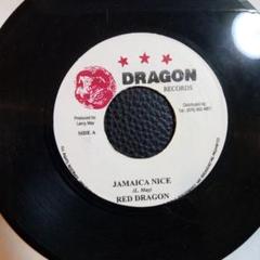 最新人気 A6 RED メルカリ - レコード NICE JAMAICA DRAGON 洋楽