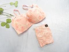 エクサブラ・ドゥセットE70爽やかなミントとブルーの花レースが素敵
