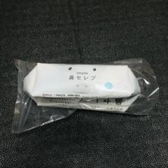 ミニブタ