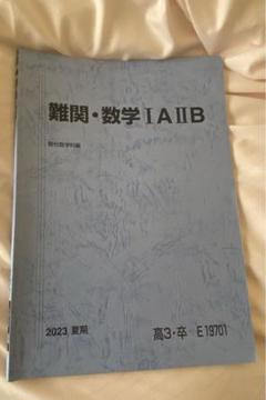 駿台予備校 夏期講習テキスト2023 難関数学ⅠAⅡB - メルカリ