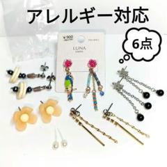165 ブローチシリーズカラフルなオウムさん　ピアスorイヤリング 165 ブローチシリーズカラフルなオウムさん ピアスorイヤリング