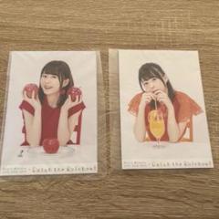 水瀬いのり　生写真&フォルダ セット 水瀬いのり 打て ミナカファイル&パンフレットセット