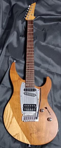 ギター Selva Ignight 545 Rare Made in Japan Guitars】 Selva Ignite 545 / Guitar