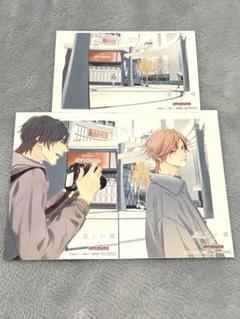美しい彼 JOYSOUND まとめ売り 美しい彼×JOYSOUND直営店コラボキャンペーン – カラオケ