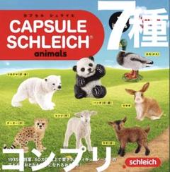 バラ売り不可※Schleich シュライヒ タグ付き54体セット 廃盤あり