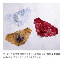 HIMIKO 025シリーズ フルバックレース メンズ Ｌ　サルート好きな方も ヒミコ 025シリーズ フルバック パンツ バックレース ビキニ