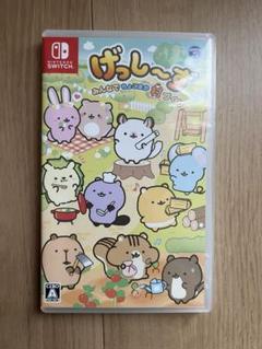 万作様専用　任天堂Switch げっし〜ず みんなでちょこまか村づくり