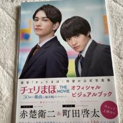 チェリまほ　雑誌　ビジュアルシート チェリまほTHEMOVIE パンフレット オフィシャルビジュアルブック