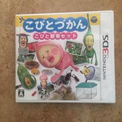 こびとづかん こびと観察セット