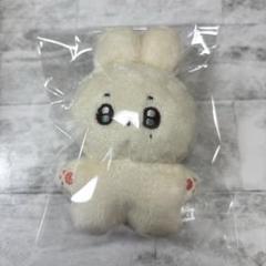SEVENTEEN セブチ ドギョム ぬいぐるみ 10cm マスター 도토리