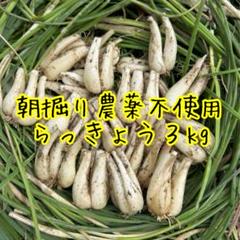2025年最新】らっきょう 無農薬の人気アイテム - メルカリ