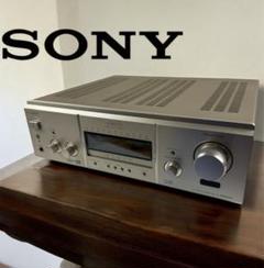希少 SONY CD WALKMAN D-E900 やや難あり品