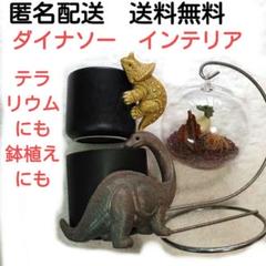 【匿名配送】恐竜デザインの鉢と置物セット　インテリア　テラリウム　マグカップ