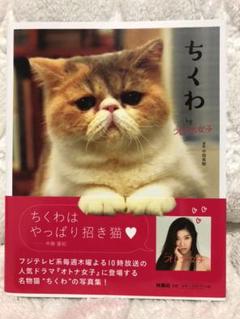 ちくわ By オトナ女子 Byオトナ 女子 中岡美樹 の中古 未使用品 メルカリ