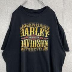 ハーレーダビッドソン　デカロゴ両面プリント　ブラックビックサイズTシャツXL程度