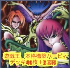 遊戯王　本格構築ハーピィレディデッキ40枚＋E X15枚