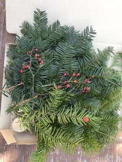 もみの木 枝の中古 未使用品 メルカリ