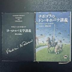 ナボコフのドン・キホーテ講義とヨーロッパ文学講義 ナボコフのドン・キホーテ講義とヨーロッパ文学講義 - メルカリ